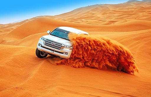 dubai-desert-adventures-morning-desert-safari-tour-image